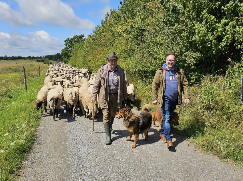 You are currently viewing Besuch bei Schäferei Linsmann in Garbeck